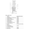 Вертикальный многоступенчатый насос LEO LVR 10-12 L1244